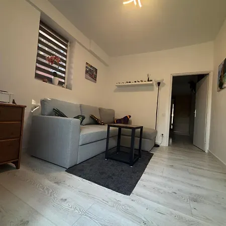 Apartament Elephant *